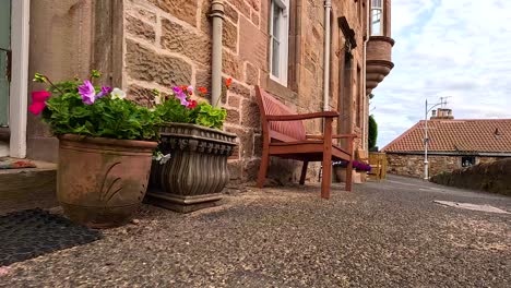 potted flowers line a quaint stone street