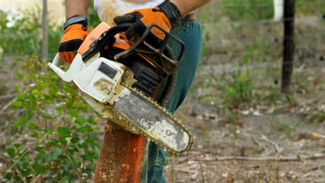 lumberjack holding chainsaw in the forest 4k