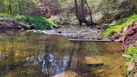 Close-view-of-creek-flowing-continuously-through-stunning-park-on-sunny-summer-day