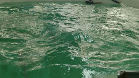 feeding fish at an agricultural production facility, fish farming