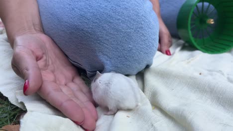 woman holding a white hamster outdoors