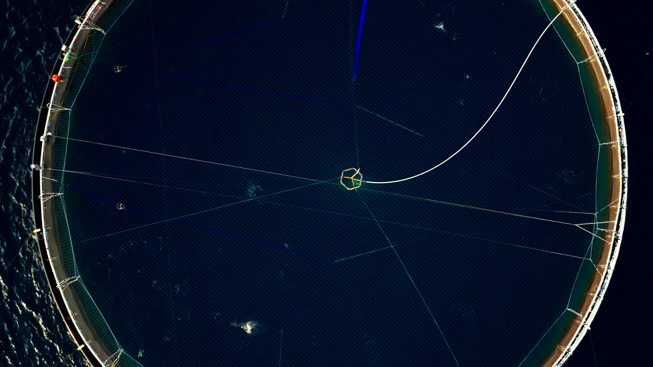 Top-down aerial dolly view, large circular fish pens at a salmon farm near Tromso, Norway. The dark polar water highlights the industrial commercial aquaculture infrastructure