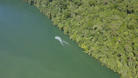 Paisaje-Panorámico-Del-Lago-Izabal-Y-Lancha-Motora-Junto-A-La-Selva