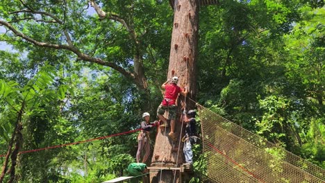 treetop adventure with safety gear