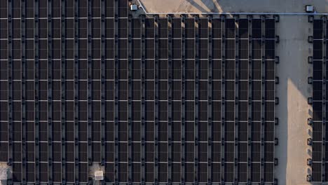 filas limpias de paneles solares que recogen energía de recursos renovables, drones aéreos de arriba hacia abajo