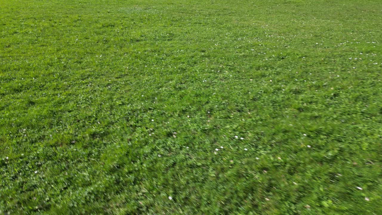 la fortificación del ejército suizo sirvió como defensas vitales, protegiendo el pasaje que conecta walensee y linthebene-zürichsee, encarnando la importancia histórica