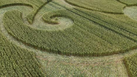 arte de tallos aplanados en un campo de grano, círculo de la cosecha cerca de etchilhampton en wiltshire, inglaterra