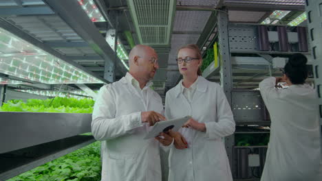 microbiology in white coats walking on a modern farm with laptops and tablets studying and discussing the results of the growth of green plants