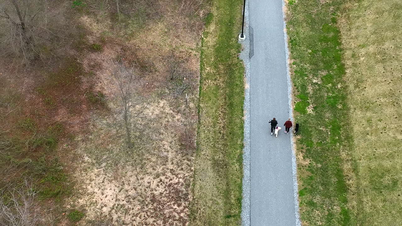 두 명의 여성이 포장된 오솔길에서 개와 함께 산책을 합니다.