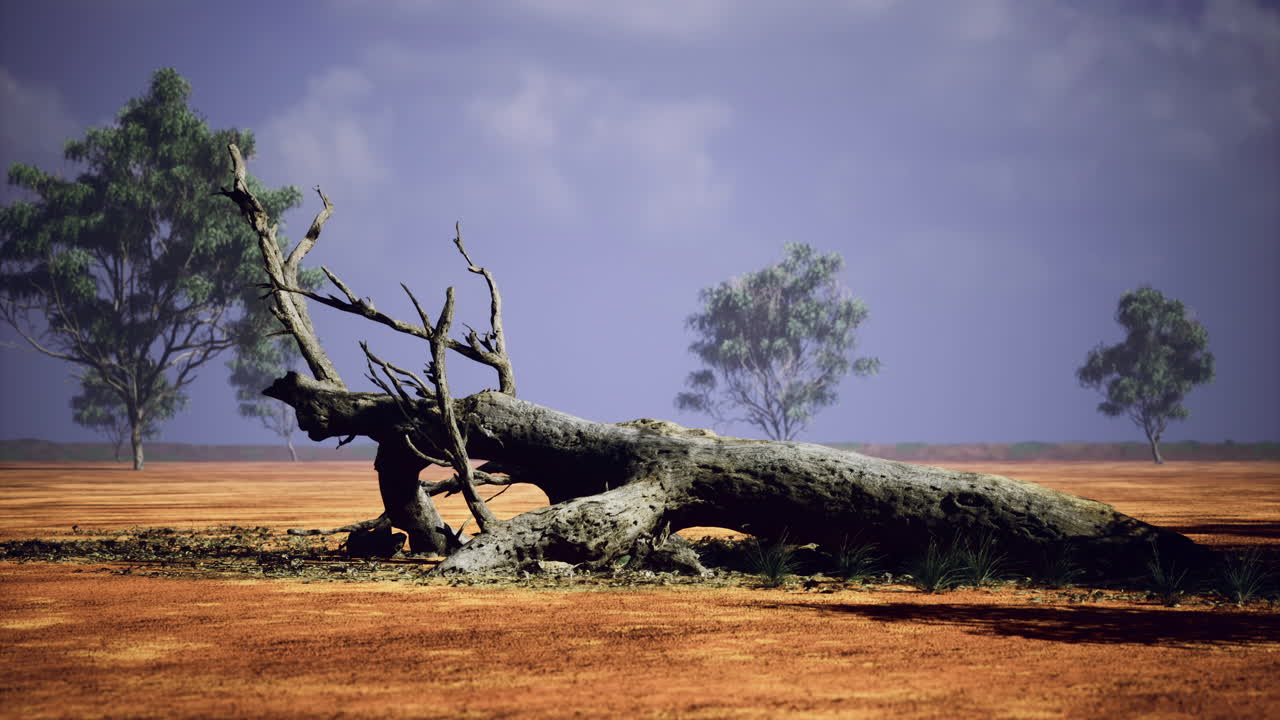 Desolate landscape with fallen tree amid sparse vegetation in dry environment
