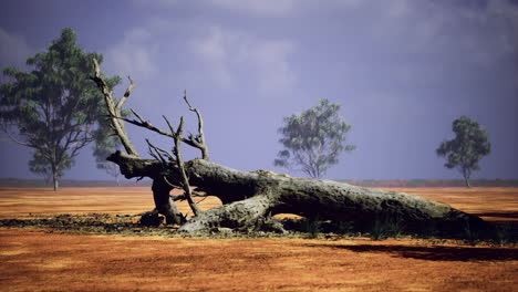 desolate landscape with fallen tree amid sparse vegetation in dry environment