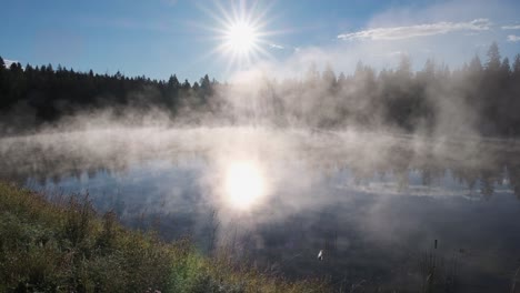 Spektraler-Sonnenstern,-Während-Nebel-Aus-Der-Ruhe-Aufsteigt