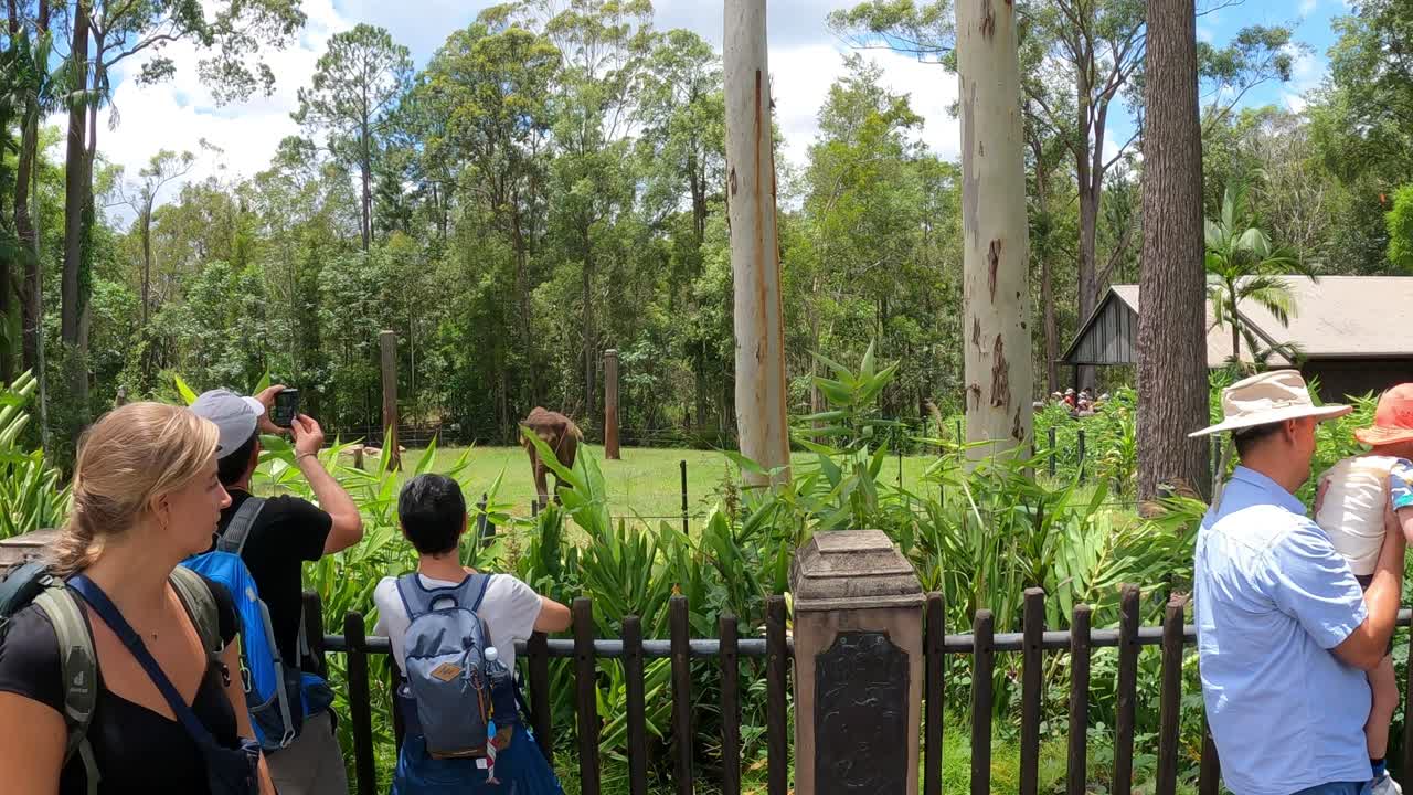 가이드 투어 중 말 을 관찰 하는 관광객 들 의 그룹