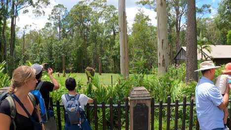 group of tourists watching horses during a guided tour