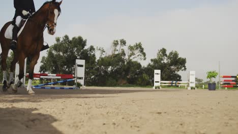 african american man riding his dressage horse