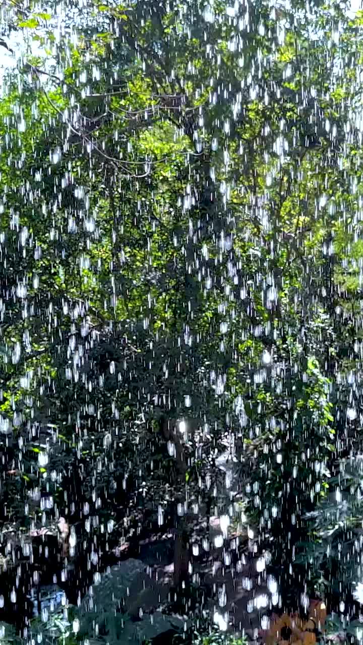 Water cascading in a vibrant green garden