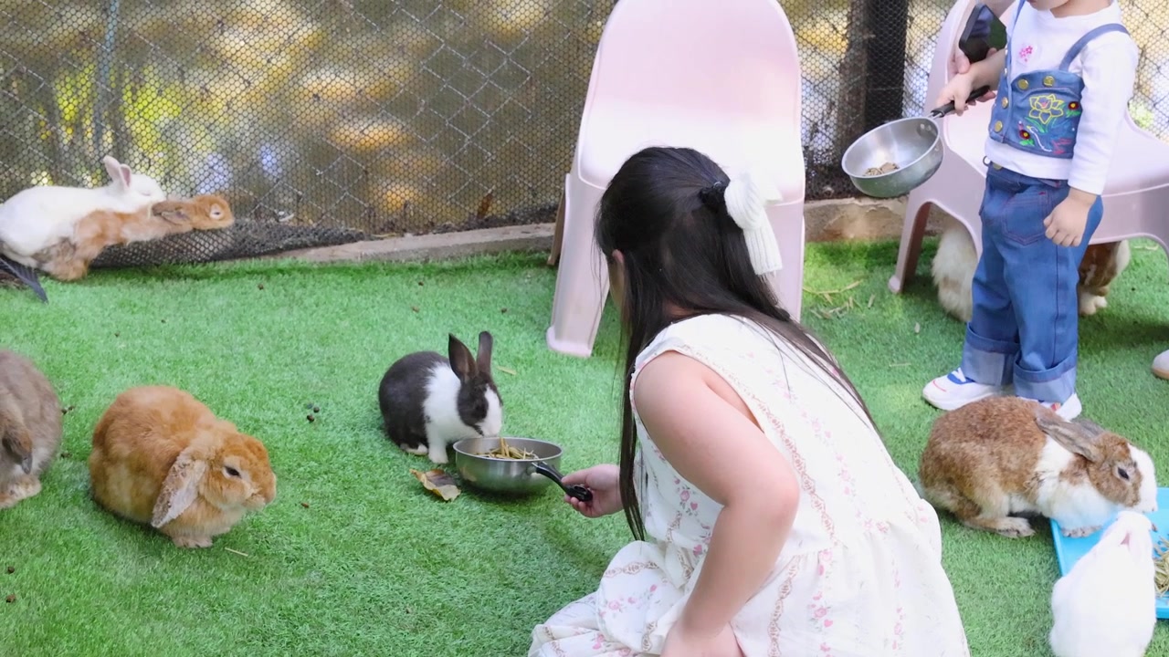 白いドレスを着た幼い少女が、屋外の人工芝の上で数羽のウサギに餌を与えている。