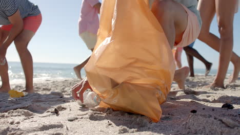 volunteers clean up a beach, with copy space