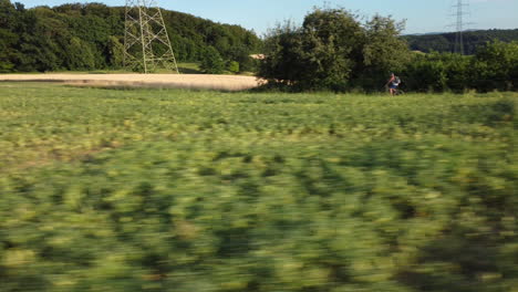 cyclist on a rural path through fields and forests