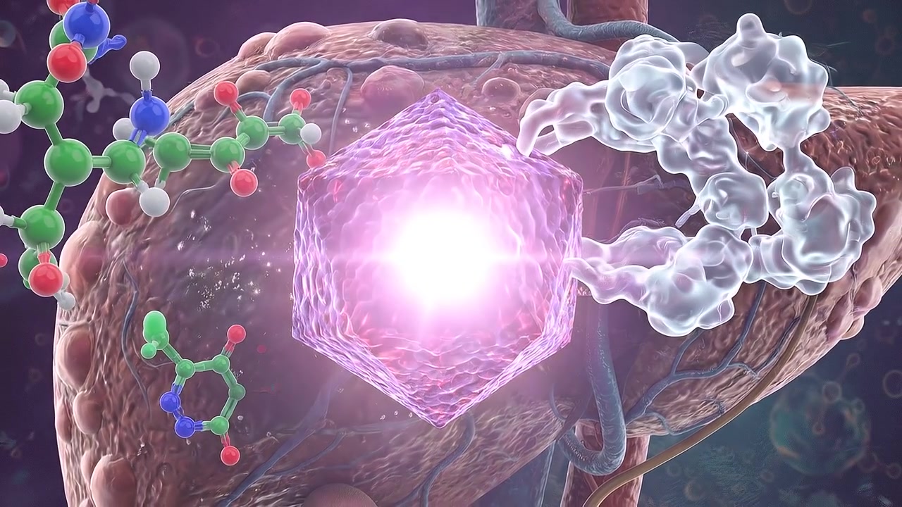 Modello di fegato umano che evidenzia i lobi epatici interni con arte medica astratta