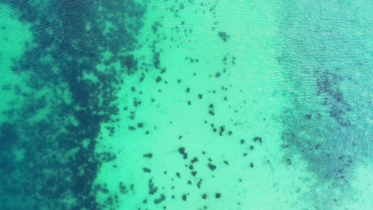 Beautiful sea texture with calm surface of clear water where growing beautiful coral reefs on white seabed near shore in Caribbean