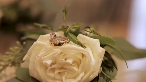 wedding rings on a white rose close up