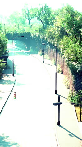 empty urban road through a park