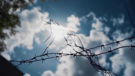 an interesting silhouette of a barbed wire shot against the background of the sky and clouds. close-up