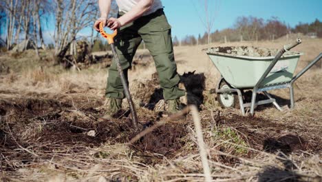 Man-Digging-In-The-Ground-With-A-Shovel-To-Get-Soil-Then-Placed-In-A-Wheelbarrow