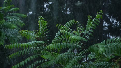 in the rainy season, eastern india receives heavy rainfall during the rainy season