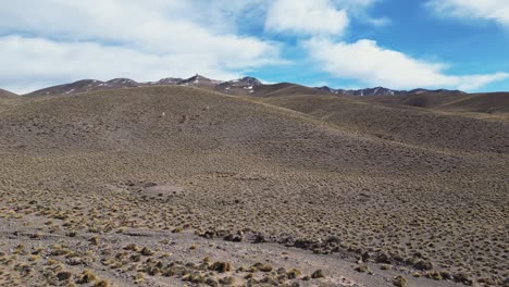 capturar la belleza indomable de los guanacos en una montaña, el paisaje cubierto de nieve de vuelta con impresionantes imágenes de drones