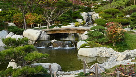 a beautiful japanese garden in balboa park in san diego, california - zoom in