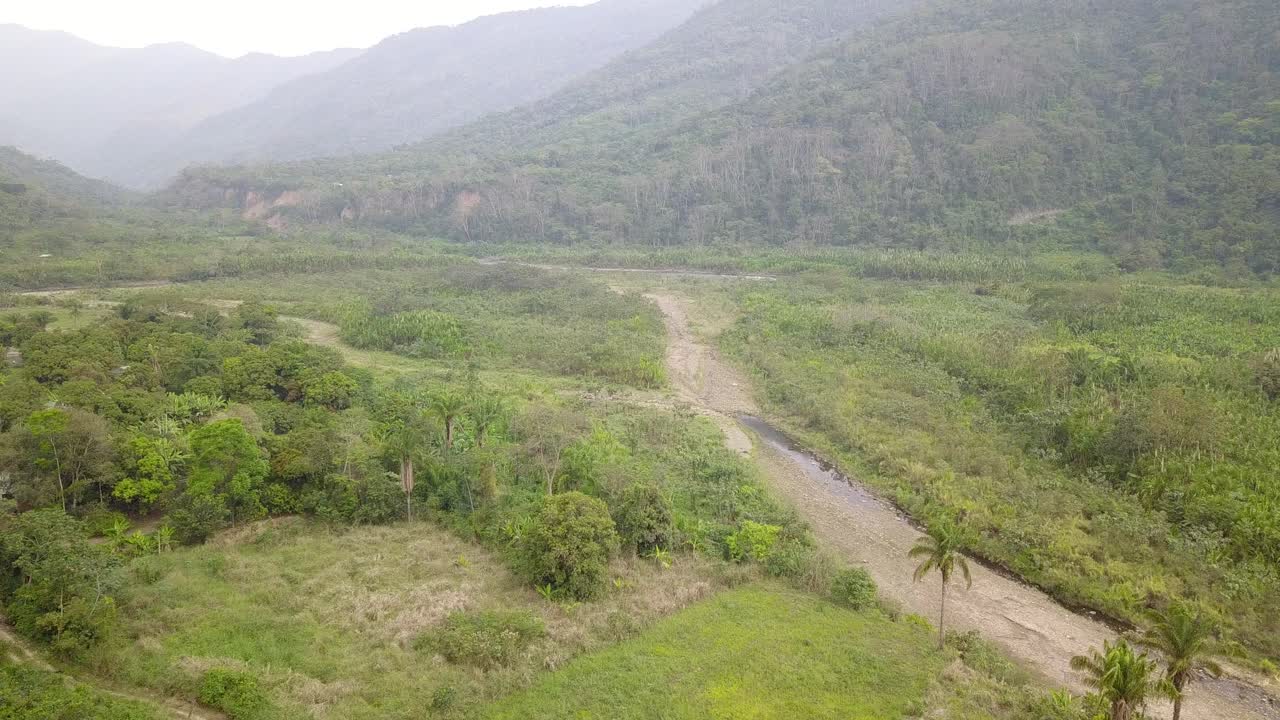 Kaffeplantage i den bolivianske bjergjungle