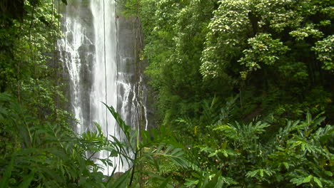 a tropical waterfall flows through a dense rainforest in hawaii 3