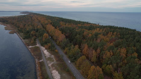 Aerial-view-of-a-road-cutting-through-a-dense-forest-with-autumn-foliage,-vehicles-visible