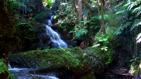 Onomea-Fällt-Durch-Uralte-Lavafelsen-Im-üppigen-Grünen-Regenwald-Der-Botanischen-Gärten-Von-Hawaii-In-Hilo,-Big-Island