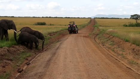 elefantes salvajes cruzando un camino de tierra mientras los turistas los observan desde un camión en un safari en áfrica