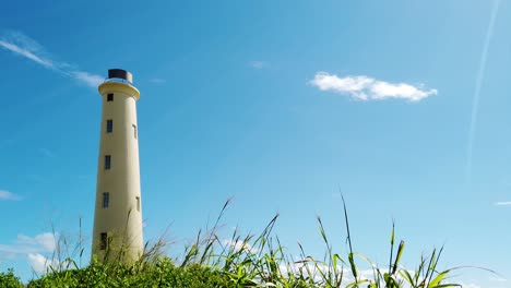 hd hawaii kauai lihue boom up from bushes with ninini point lighthouse in background to reveal more of lighthouse under mostly blue sky