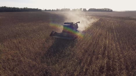 Combine-Harvests-Of-Sunflower-The-Camera-Flies-Around-The-Combine-Beautiful-Solar-Flare-In-The-Frame