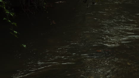 Malerischer-Fluss,-Der-Durch-Den-Herbstwald-Fließt.-Statisch