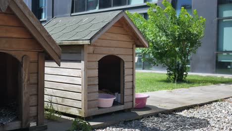 wooden dog houses in a courtyard