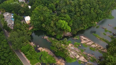 stunning aerial drone shot of kerala’s forest landscape, where coconut trees and a flowing river meet in harmony.