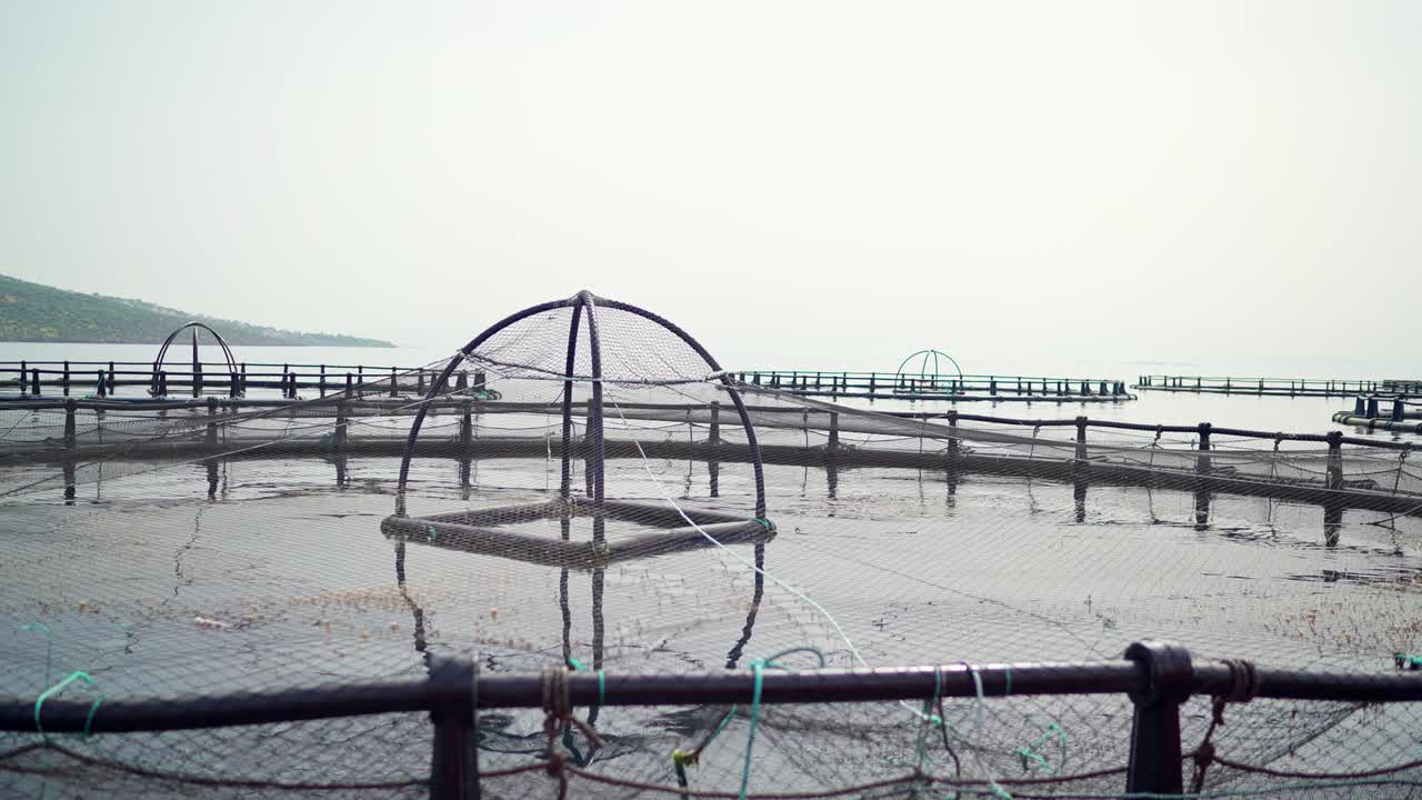 바다 한가운데에 있는 생선 농장에서 작은 물고기들.