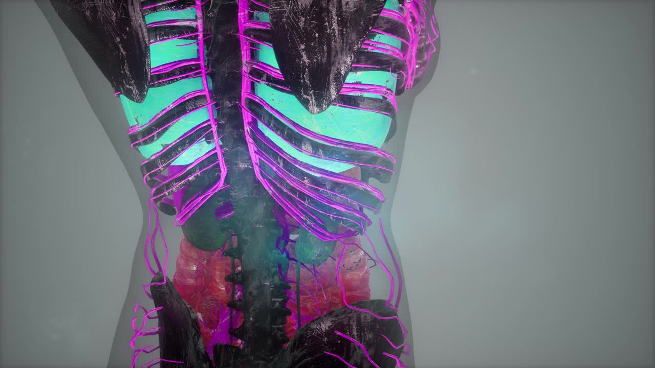 exploración de tomografía anatómica del cuerpo humano