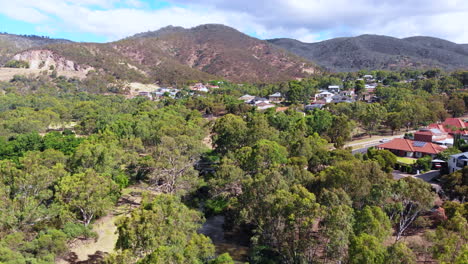 imágenes aéreas de drones sobre árboles que se dirigen hacia las colinas en australia