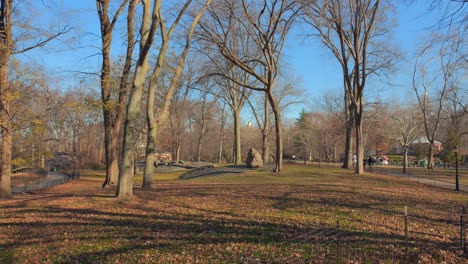 Scenic-View-Of-Bald-Trees-During-Winter-In-Central-Park,-New-York-City,-USA