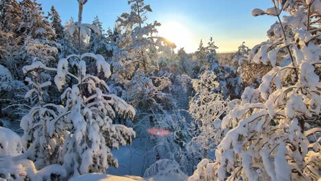 Un-Paraíso-Invernal-Prístino-Con-Una-Hermosa-Luz-De-Fondo-Y-árboles-Nevados.