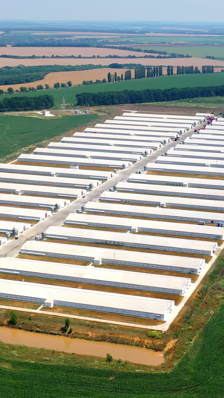 Modern farm on the background of agriculture fields. Contemporary white barn houses situated on green field at sunlight. Aerial view. Vertical video
