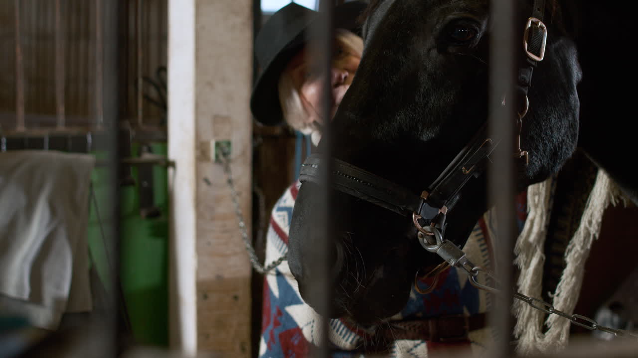 mujer alimentando al animal