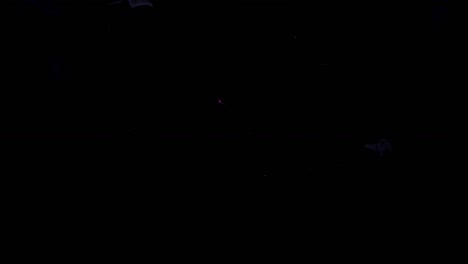 happy new year reveal 01